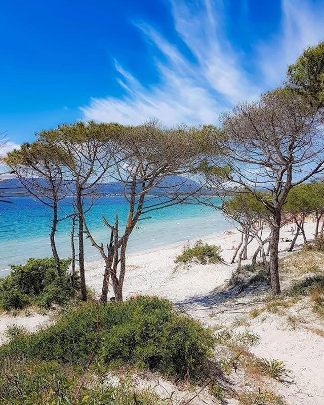 Sole Apartment Alghero Luaran gambar